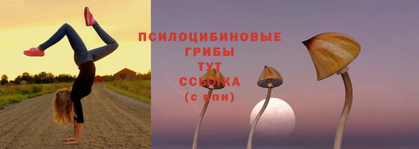 герыч Алексин