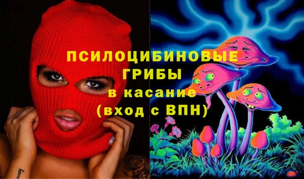 прущая мука Алзамай