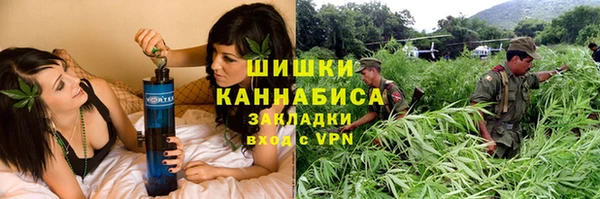 дурь Новодвинск