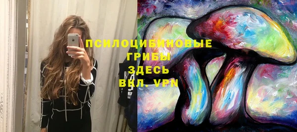 прущая мука Алзамай